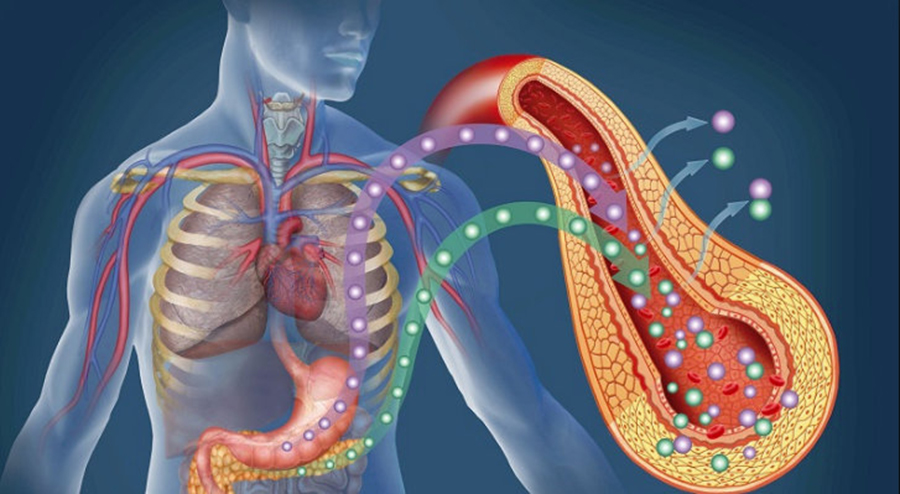 Pancreasul plin de toxine duce la complicații majore. Cum poate fi curățat